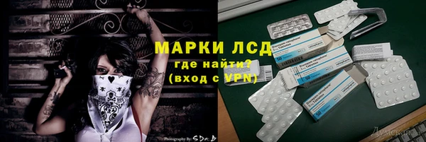 индика Алексин