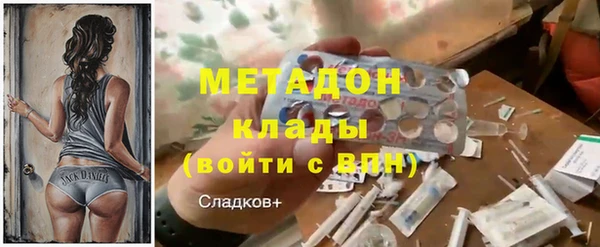 индика Алексин