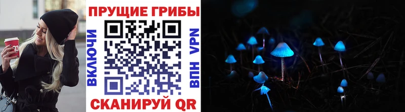 Псилоцибиновые грибы MAGIC MUSHROOMS  наркотики  Рубцовск 